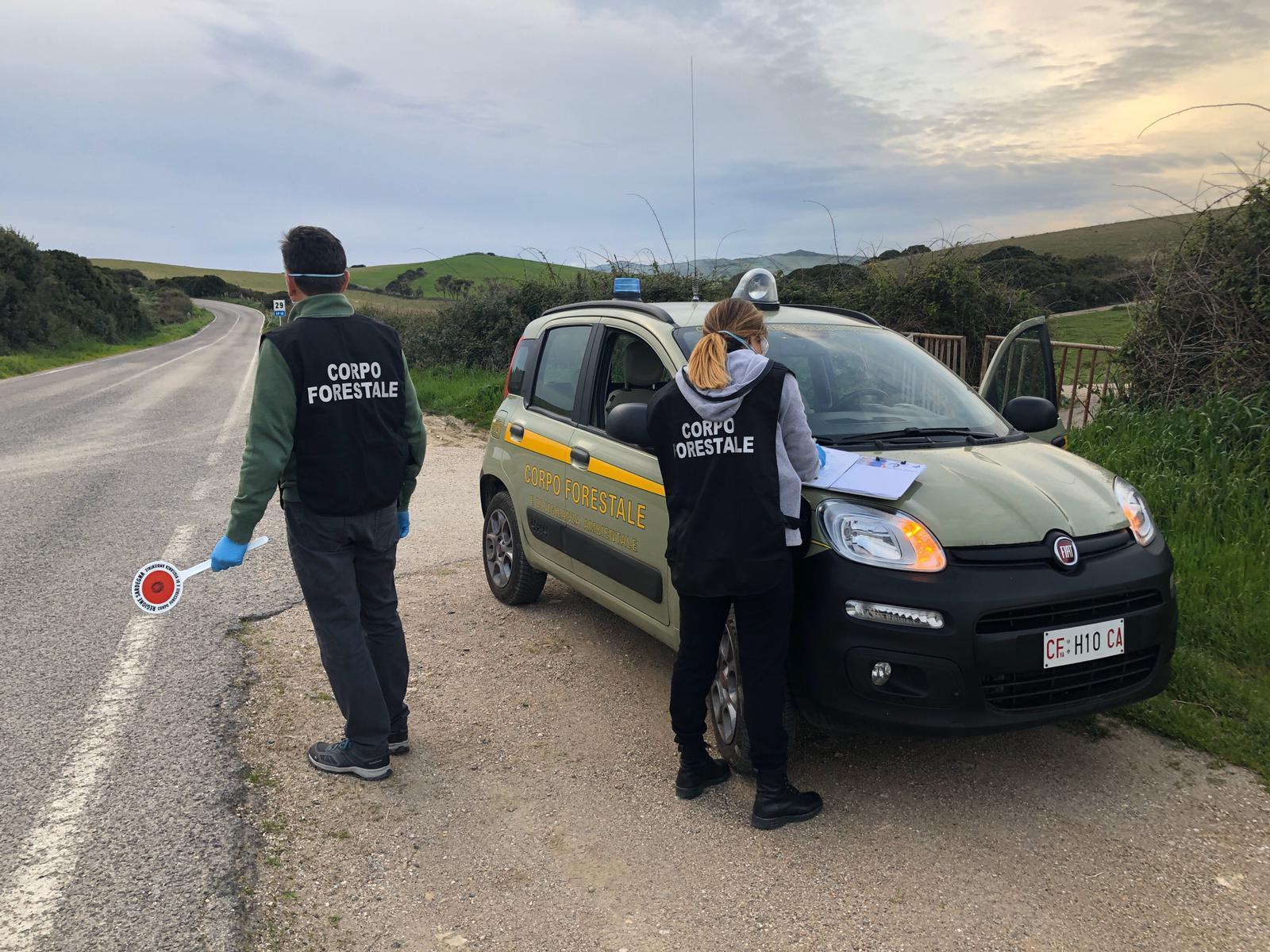 Controlli della Forestale nelle coste: un denunciato