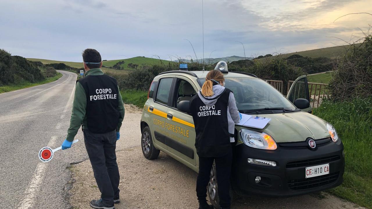 Controlli della Forestale nelle coste: un denunciato
