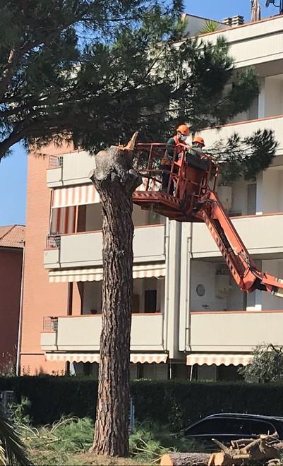 Chi abita lungo il viale è due volte prigioniero Ripensateci: questo è il tempo dell’umanità