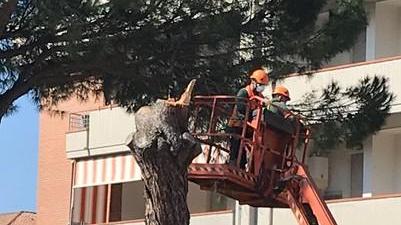 Chi abita lungo il viale è due volte prigioniero Ripensateci: questo è il tempo dell’umanità