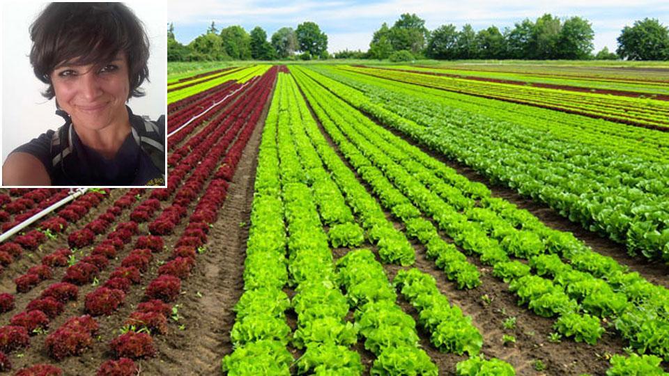 Elisa Pellegrino, ricercatrice in agronomia e coltivazioni erbacee