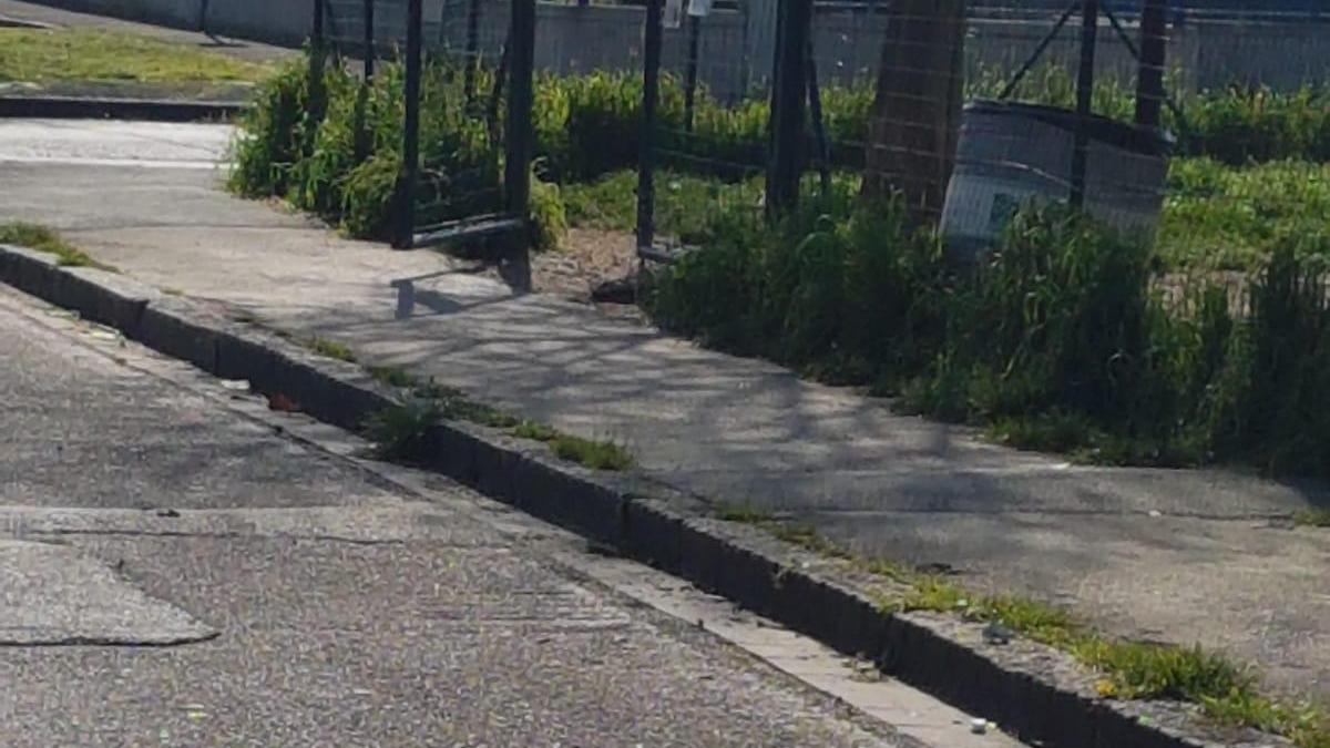 Il cancello forzato dell'area di sgambatura di Casale