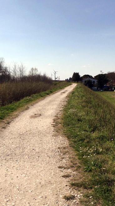 Chiusi argini e golene dei fiumi «Troppe persone in bici o a correre» 