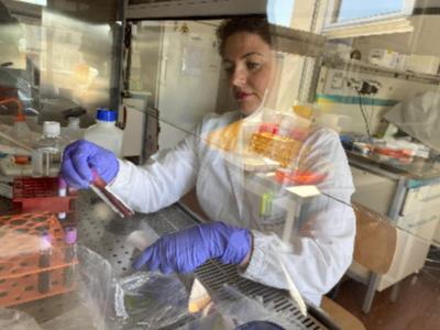 Coronavirus, terapie e vaccino studio dei ricercatori Unimore-Policlinico di Modena apre nuovi scenari