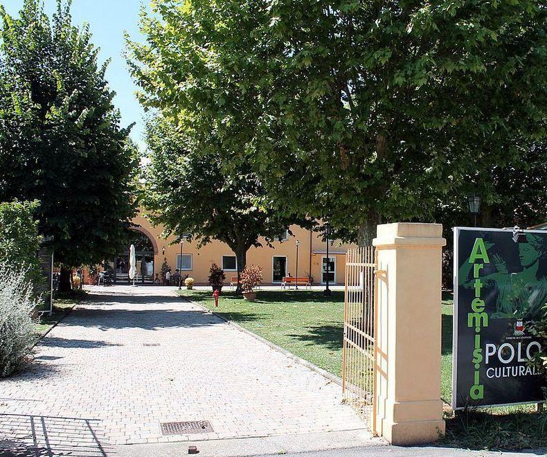 Potatura in corso sul patrimonio verde del Capannorese 