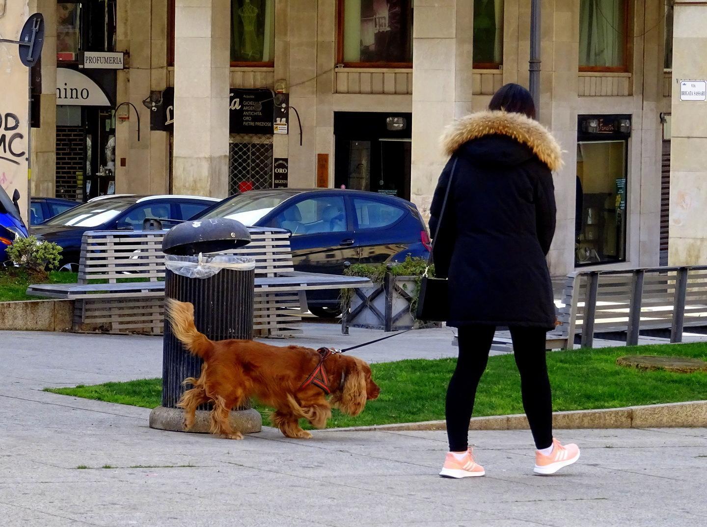 A spasso col cane, ma è un peluche 