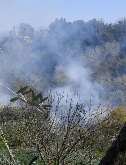 Brucia una pineta in un crinale ripido a Casola in Lunigiana