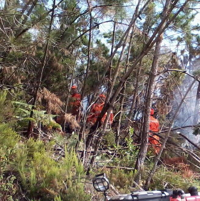 Un incendio boschivo minaccia le abitazioni della frazione di Crasciana