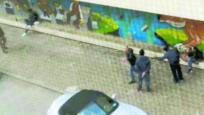 Le denunce a raffica pronte a passare al vaglio di avvocati e giudici reggiani