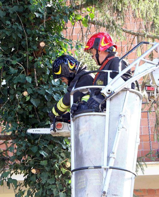 Ferrara, danni per il forte vento. Interventi dei vigili del fuoco 
