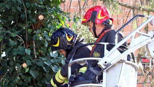 Ferrara, danni per il forte vento. Interventi dei vigili del fuoco