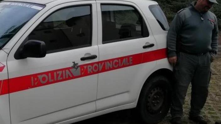 Polizia provinciale in azione per controllare le strade