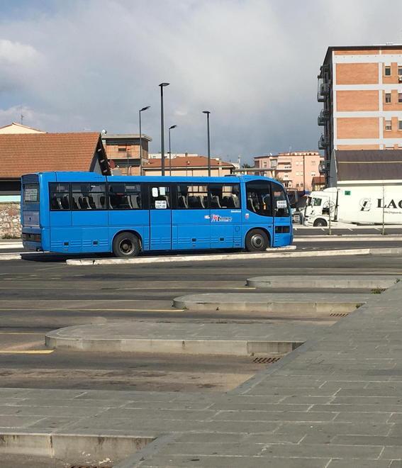 Bus semivuoti e orari “festivi” Passeggeri crollati dell’80% 