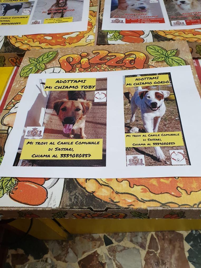 Con la pizza anche un cane da adottare 