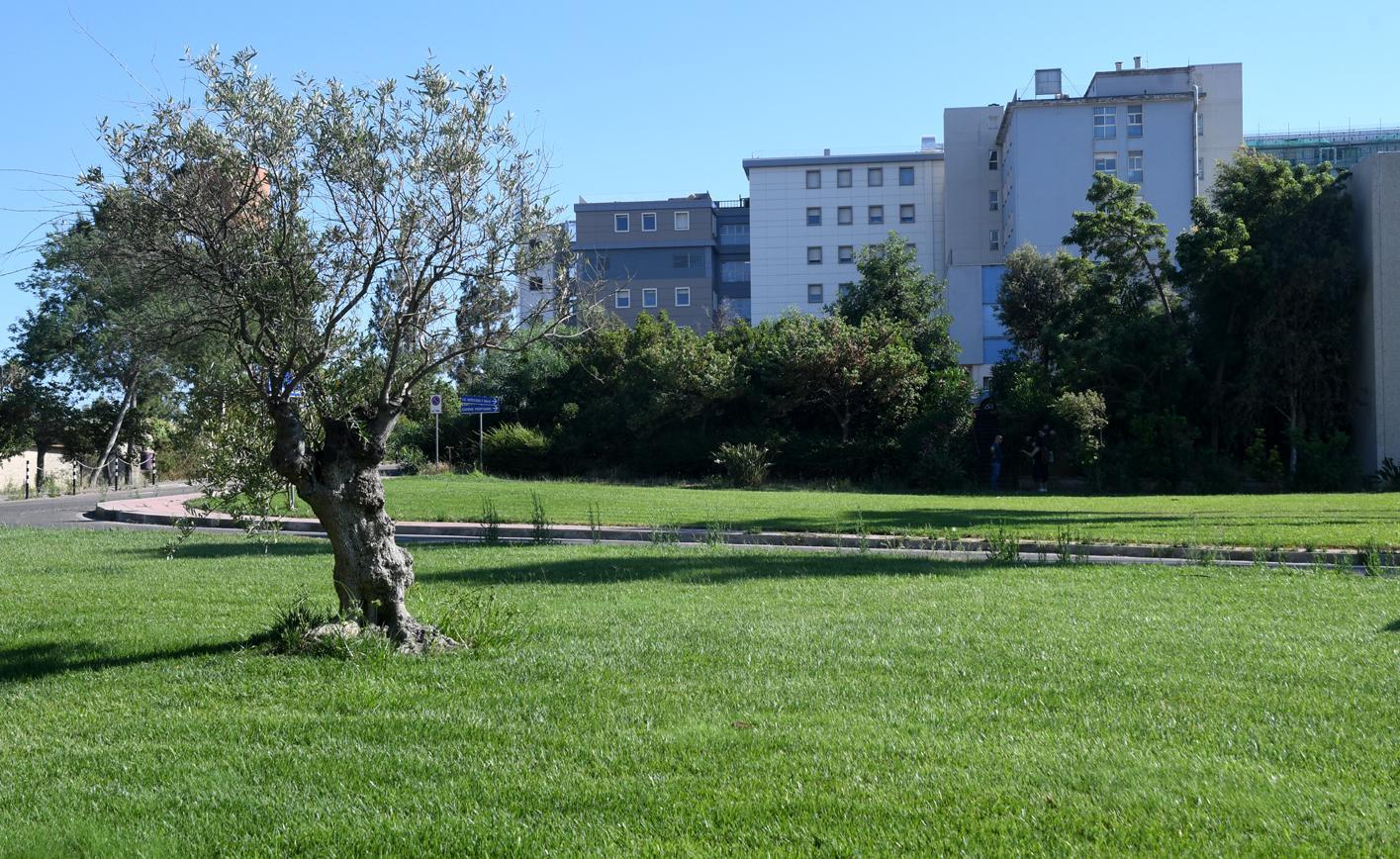 Task force, scontro medici-Assl 