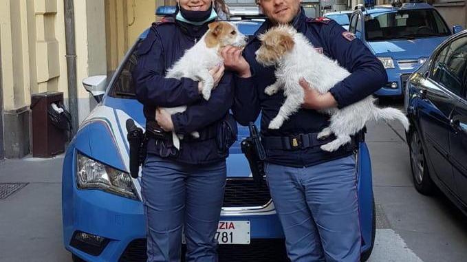 Agenti salvano cagnolini fuggiti dal recinto