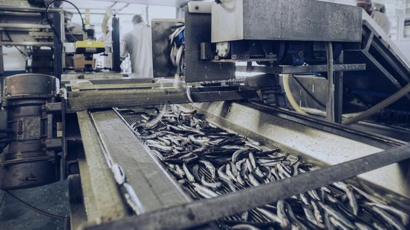 Pesce a domicilio e consegna gratuita con Fresconline