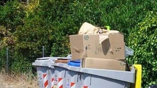 Ecco le precauzioni per smaltire i rifiuti nel modo più corretto