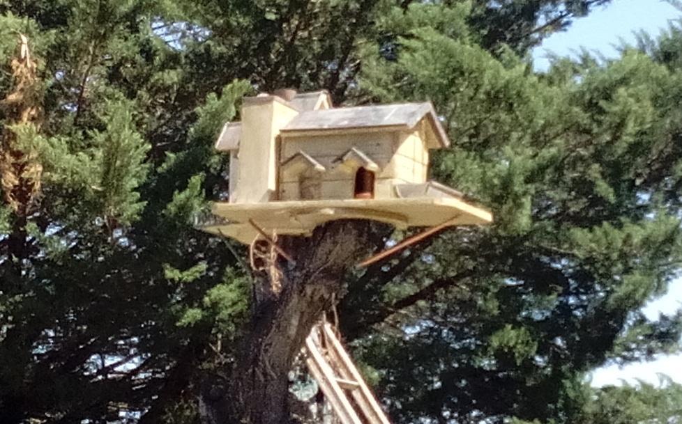 La casa del merlo si allarga