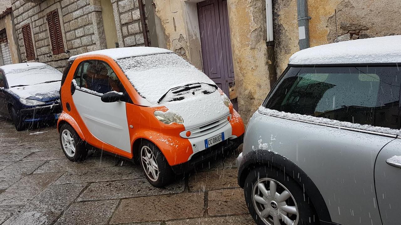 La prima neve è arrivata in primavera
