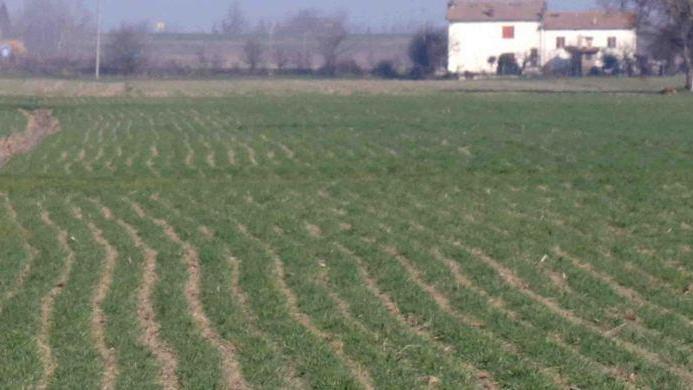 Liquidità e proroghe La Regione interviene in aiuto alle imprese