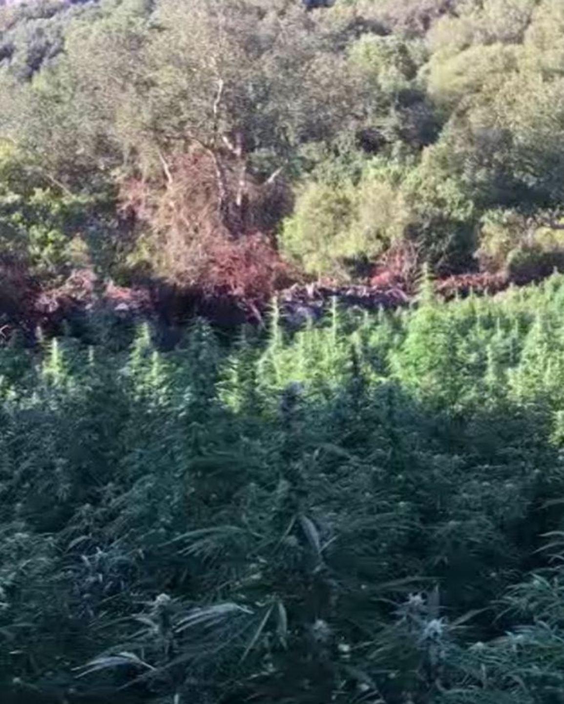 Armi e droga, il Riesame modifica le misure di quattro indagati 