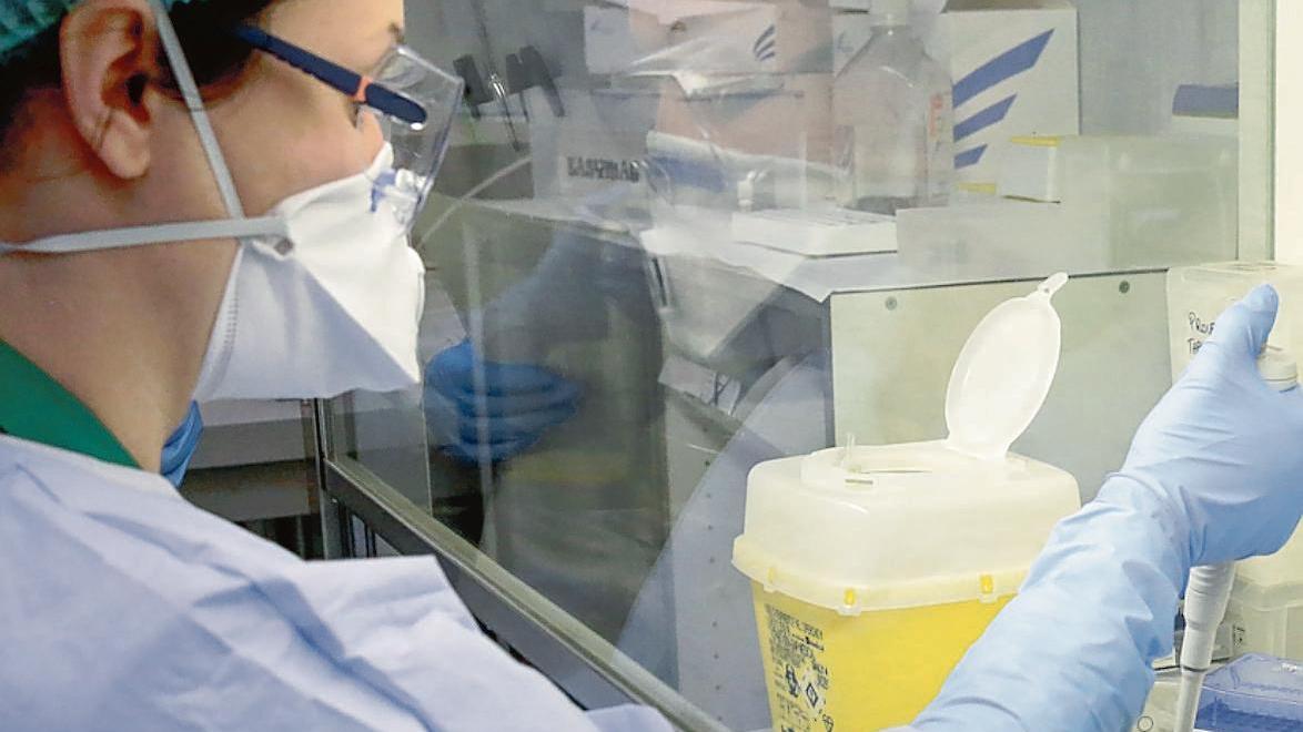 Cona, laboratorio da 250 test al giorno: ora via ai tamponi anche sul personale