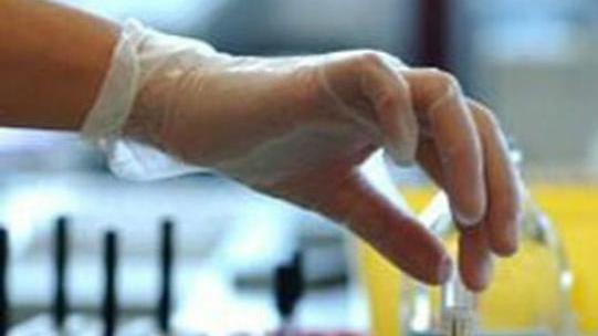 Da giovedì 20 agosto in Toscana è prenotabile il test sierologico per il personale scolastico