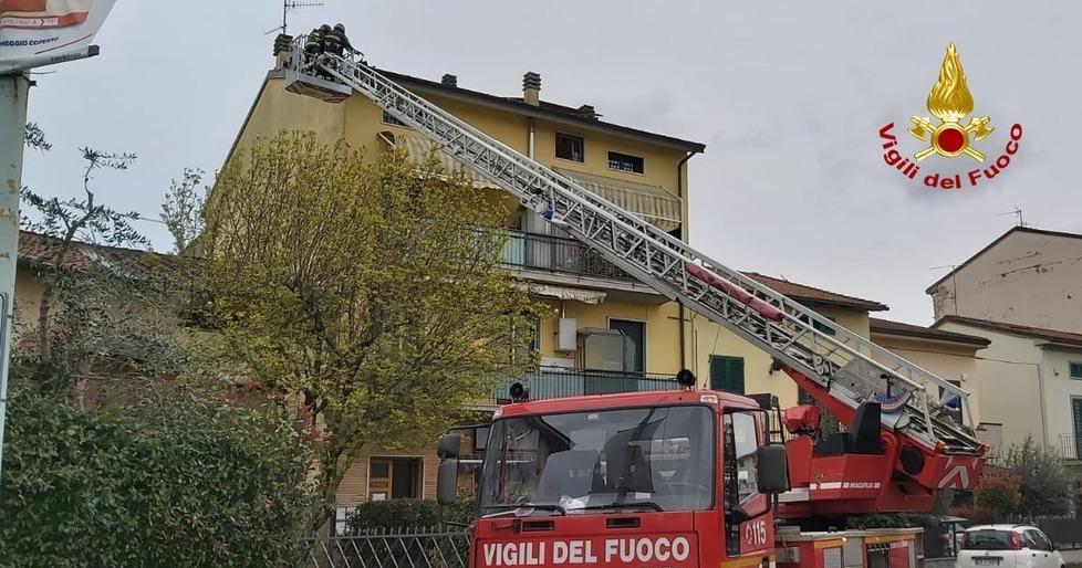 Tegole e rami pericolanti