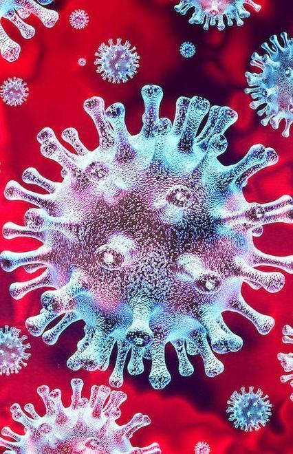 Ricerca Unimore