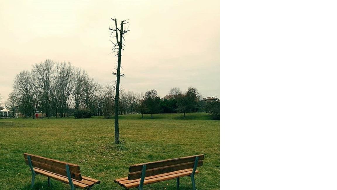 Modena. Pierpaolo Ascari: «Isolamento e virus E la disuguaglianza cresce dentro le nostre case»
