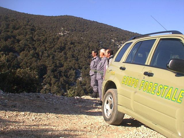 Coronavirus, 904 controlli dei forestali: 14 le persone denunciate