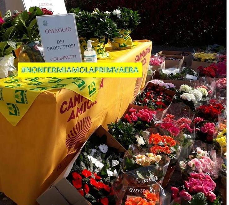 Comprare fiori e piante fa bene e si può 