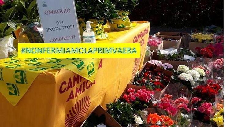 Comprare fiori e piante fa bene e si può