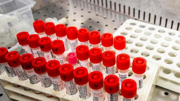 Sono quasi 400 i versiliesi in quarantena