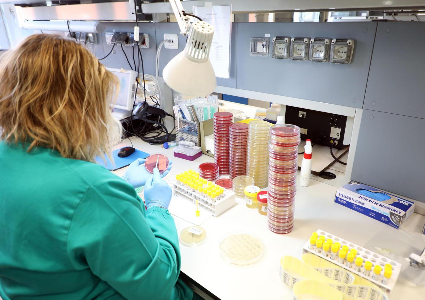 Corsa contro il tempo per leggere i tamponi: serve un aiuto decisivo