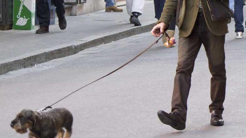 Attivato il servizio di gestione dei cani per i cittadini in quarantena
