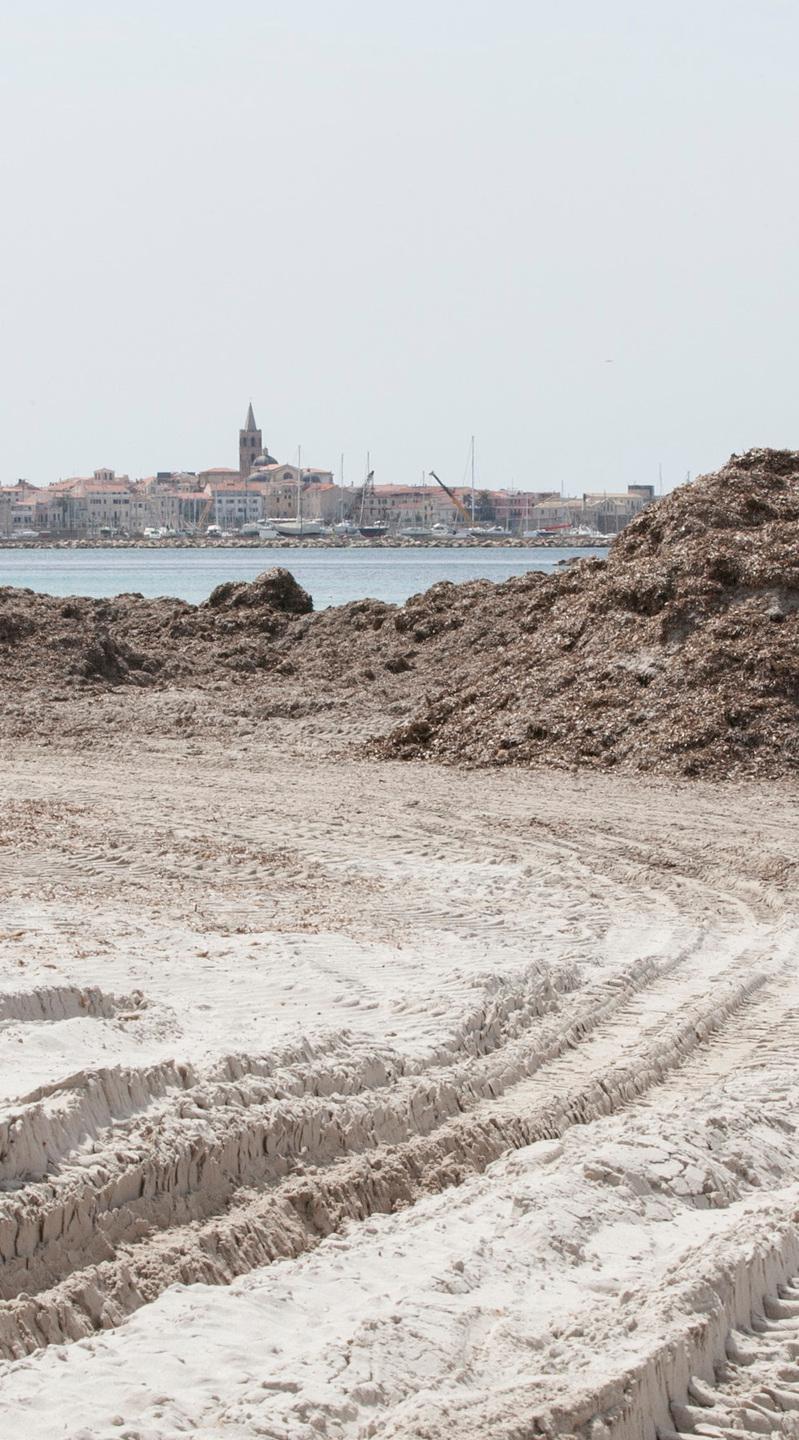 La posidonia verrà rimossa e portata in un sito di stoccaggio 