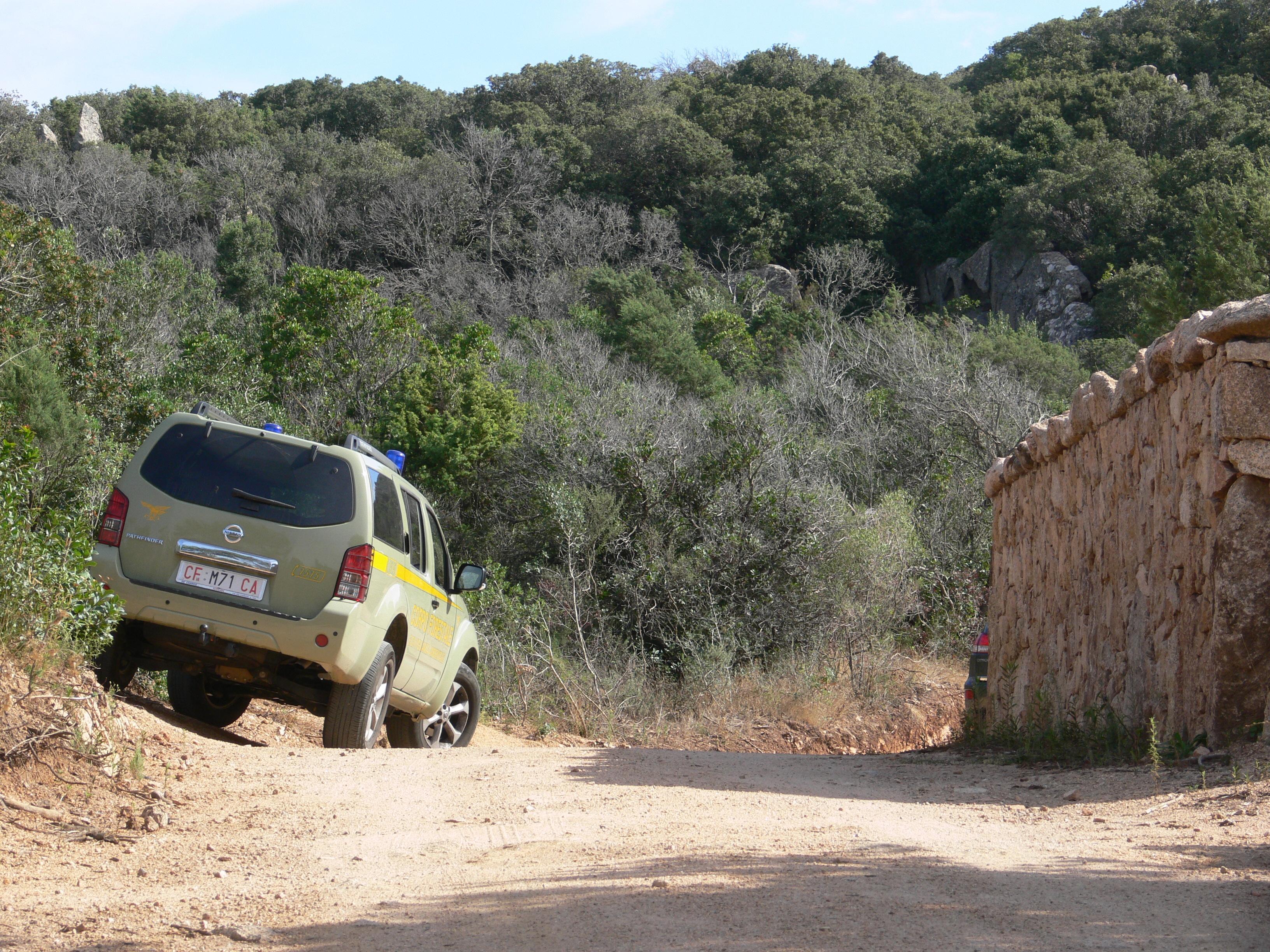Coronavirus, cercavano funghi o volevano recuperare un cinghiale: 21 denunciati 
