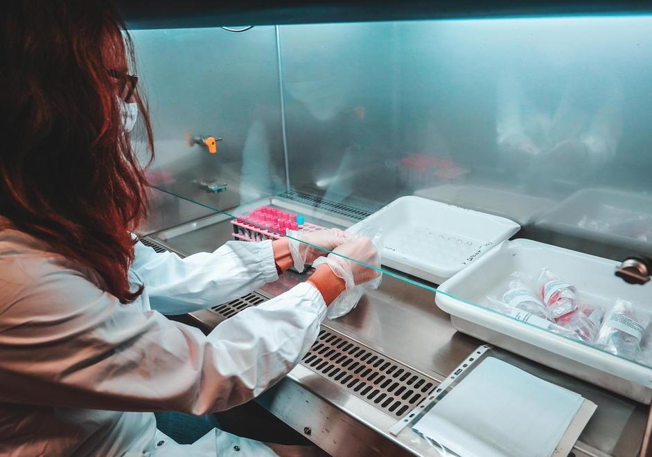 Test sierologici, privati pronti a partire Lamm inizia lunedì, ecco tempi e costi 