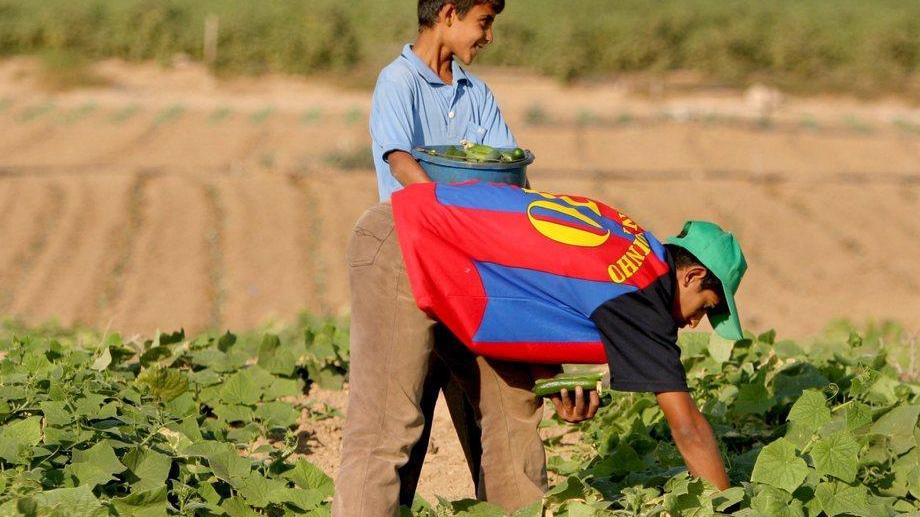 I parenti al lavoro in agricoltura