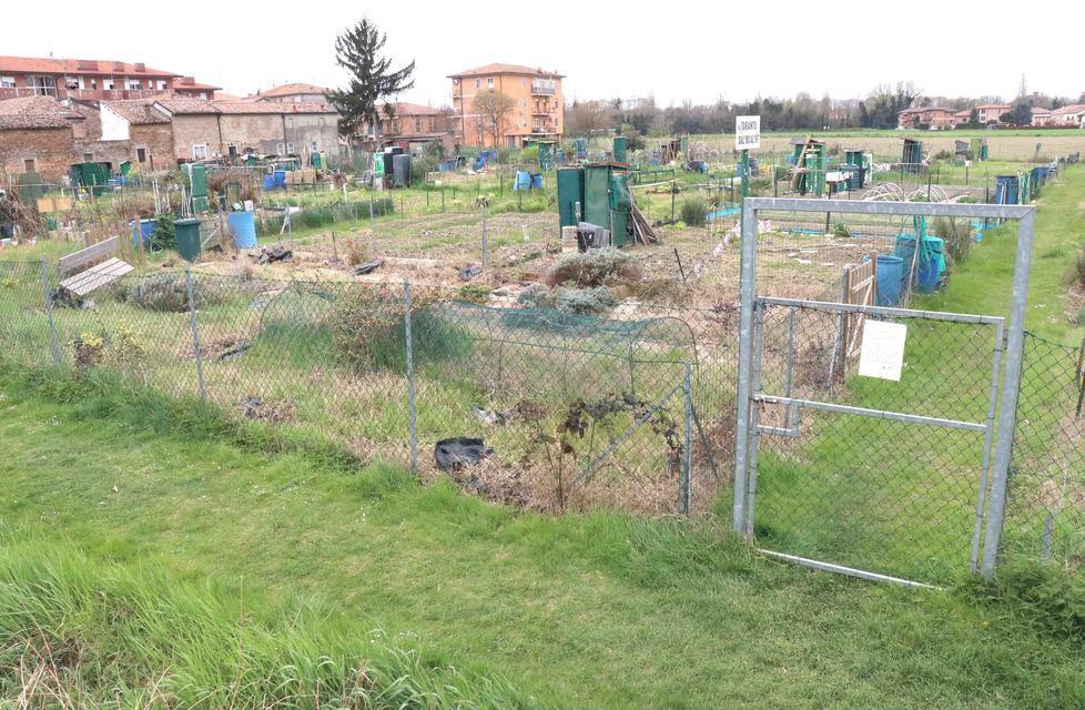 Gli orti degli anziani in stato di abbandono