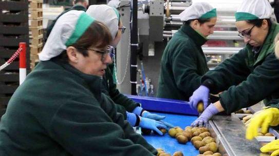 Filiere industriali non “districabili”: così 900 aziende ferraresi stanno aperte