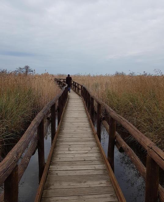 Università e Parco insieme per il recupero del lago 