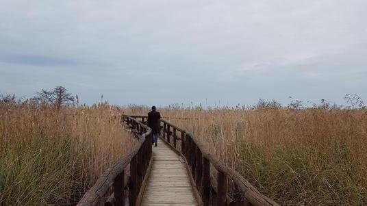 Università e Parco insieme per il recupero del lago