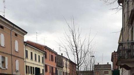 Tornano i tigli in via De Amicis Riqualificazione quasi terminata