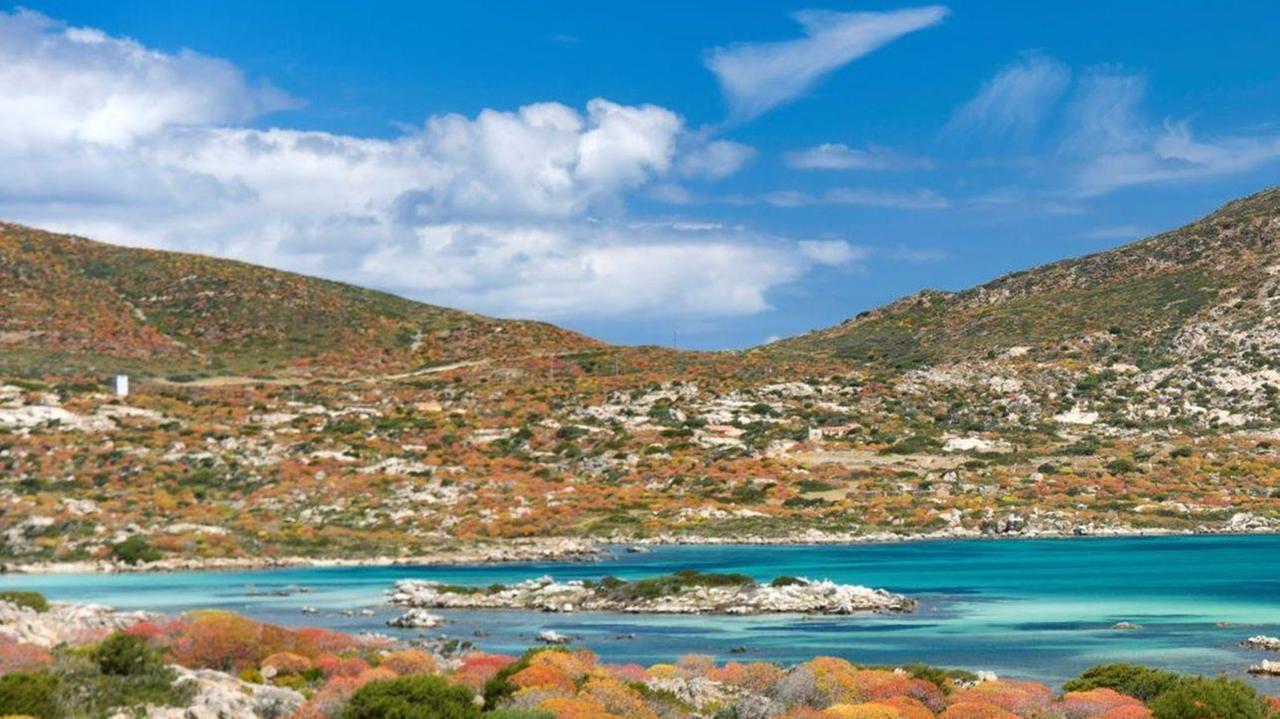 Clean Sea Life dell’Asinara premiato dal Ministero 