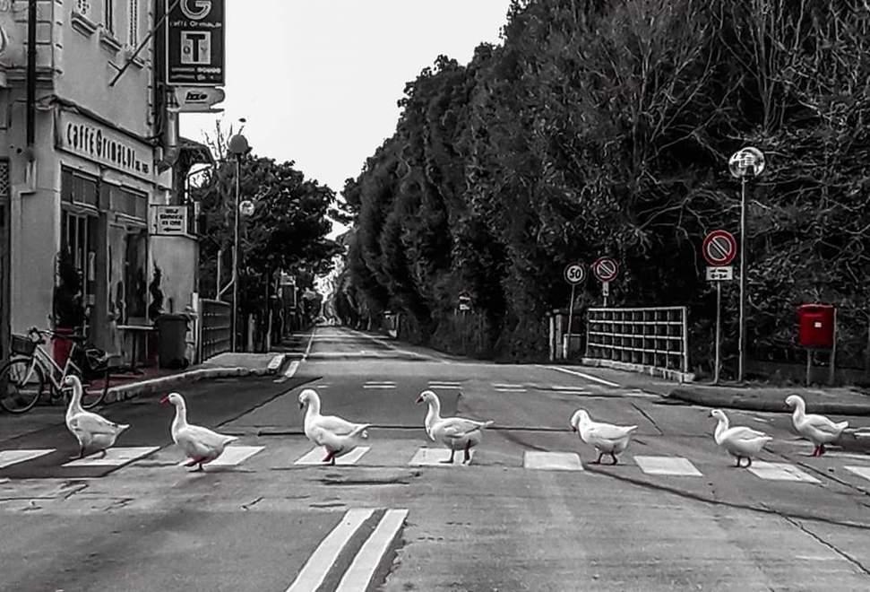 Oche come i Beatles su viale Morin a Fiumetto