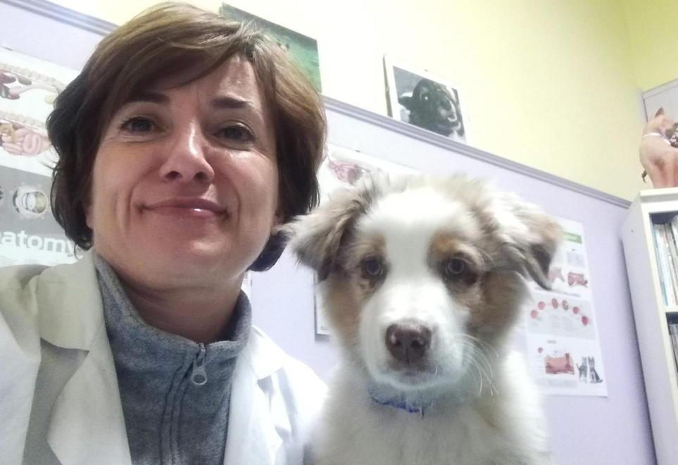 Marina Gridelli è la presidente dell’Ordine dei medici veterinari della provincia di Lucca