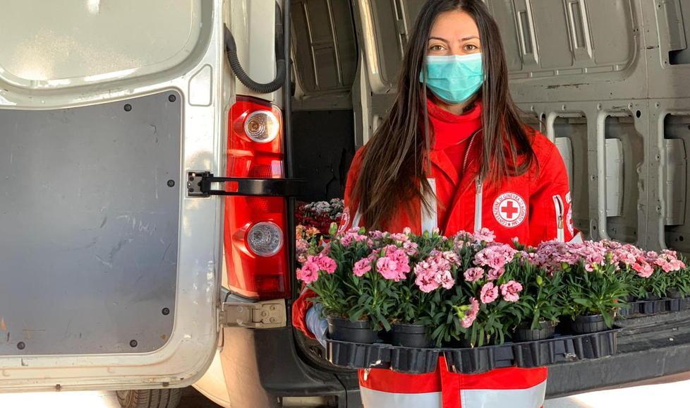 La primavera bussa alla porta insieme alla spesa e ai medicinali